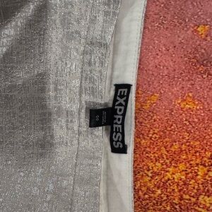 Express Silver Skirt